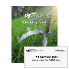 Teen Flashcards for Memory Verses